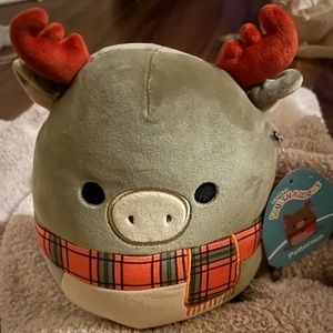 BNWT’s Fall Squishmallows are here! This 8in Squishy is the adorable Patterson!